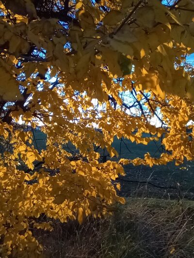Hooper Landings Park - Hooper, UT