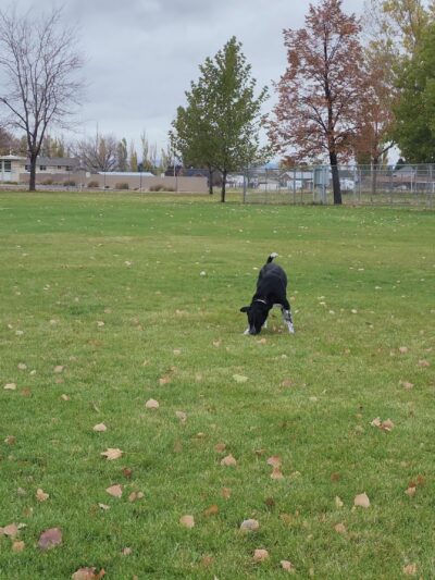 Hooper Park - Hooper, UT