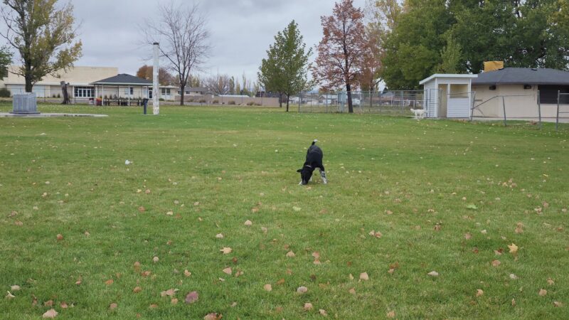 Hooper Park - Hooper, UT