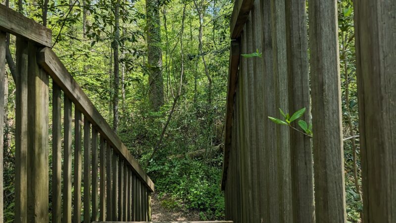 Blue Ridge Nature Trail - Hoover, AL