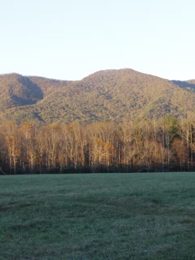 Blue Ridge Nature Trail - Hoover, AL