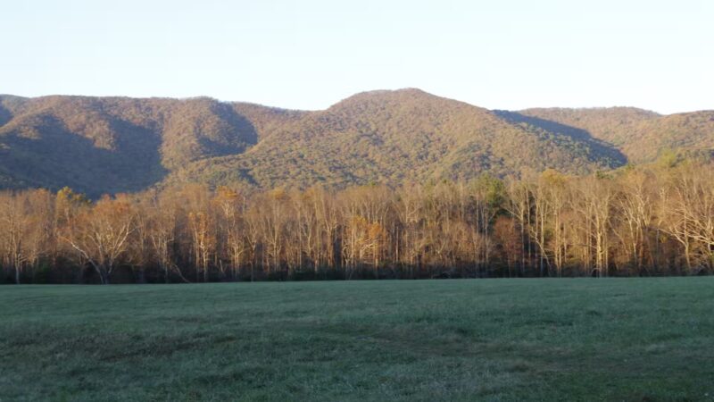 Blue Ridge Nature Trail - Hoover, AL