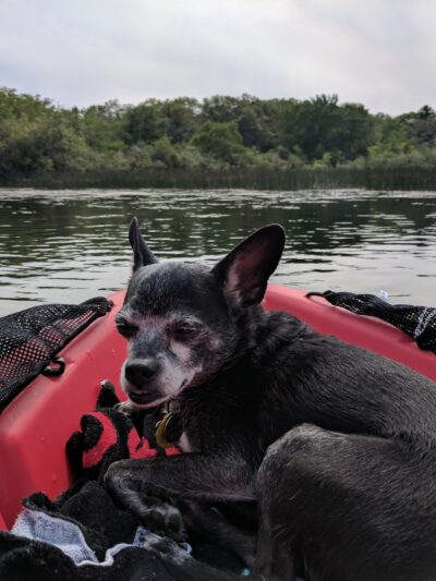 Hope Pond Recreation Area - Hope, RI