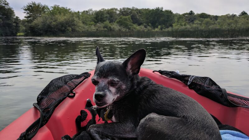 Hope Pond Recreation Area - Hope, RI