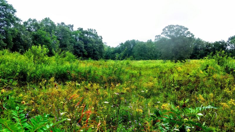 Lawton Farm - Hope, RI