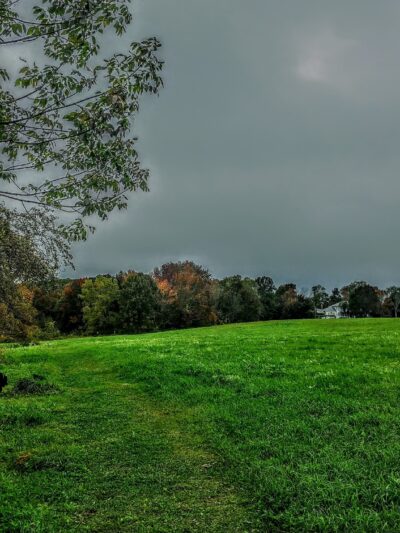 Lawton Farm - Hope, RI