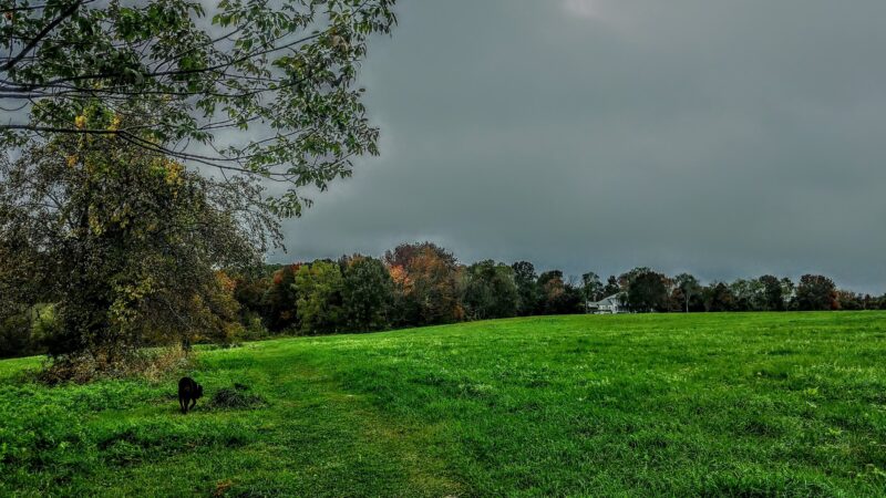 Lawton Farm - Hope, RI