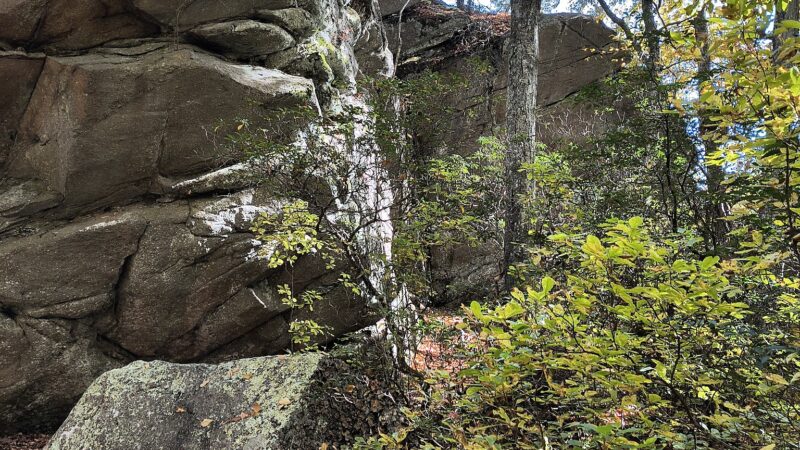 Rockville Mgmt Area Trailhead - Hope Valley, RI