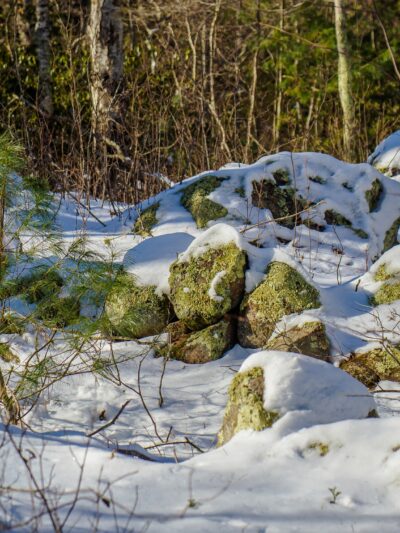 Rockville Mgmt Area Trailhead - Hope Valley, RI