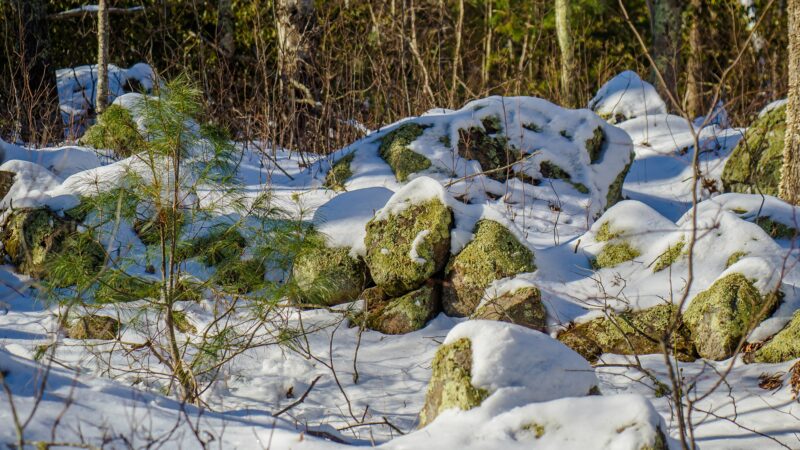 Rockville Mgmt Area Trailhead - Hope Valley, RI