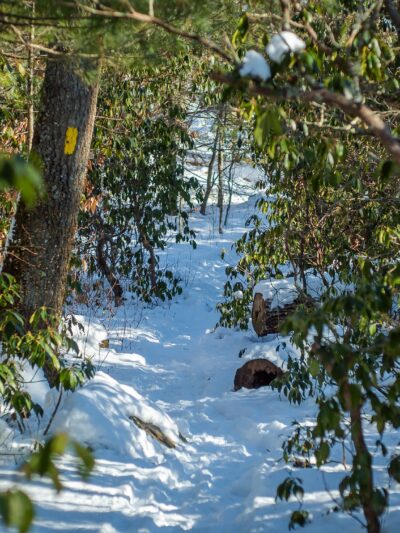 Rockville Mgmt Area Trailhead - Hope Valley, RI