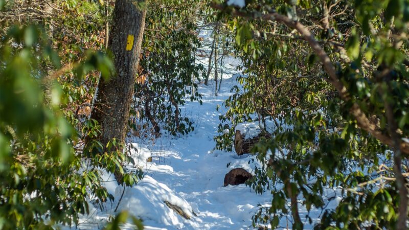 Rockville Mgmt Area Trailhead - Hope Valley, RI