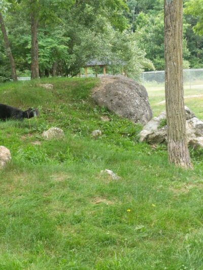 Doherty Park Field - Hopewell Junction, NY