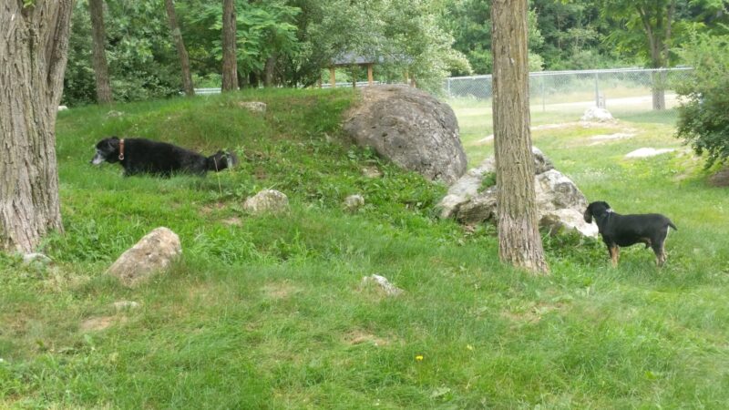 Doherty Park Field - Hopewell Junction, NY