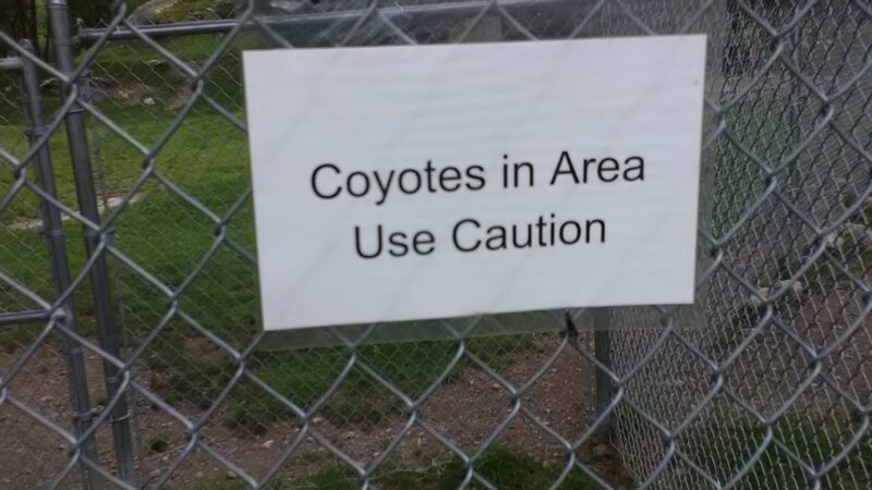 Doherty Park Field - Hopewell Junction, NY