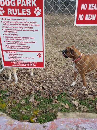Abby's Dog Park - Horseshoe Bend, AR