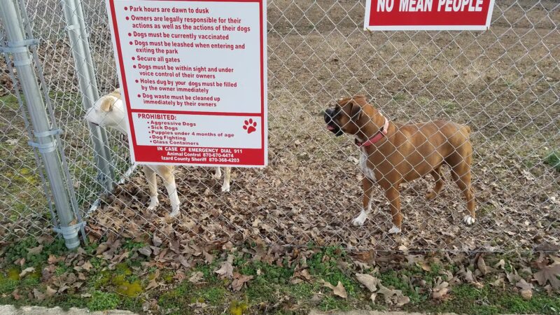 Abby's Dog Park - Horseshoe Bend, AR