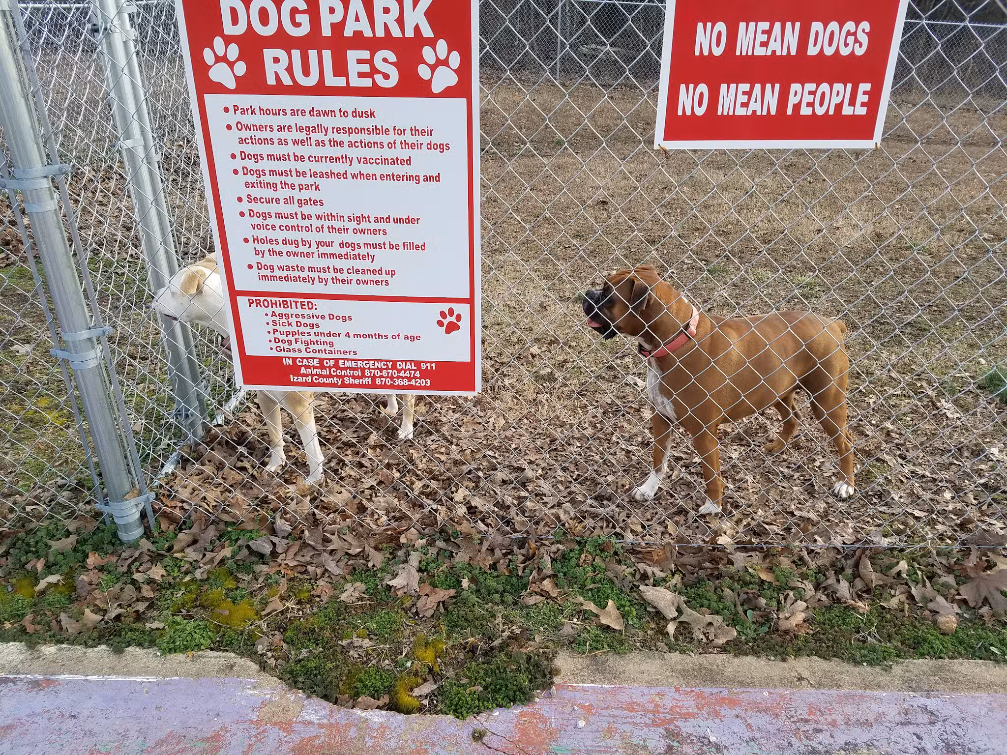 Abby's Dog Park - Horseshoe Bend, AR