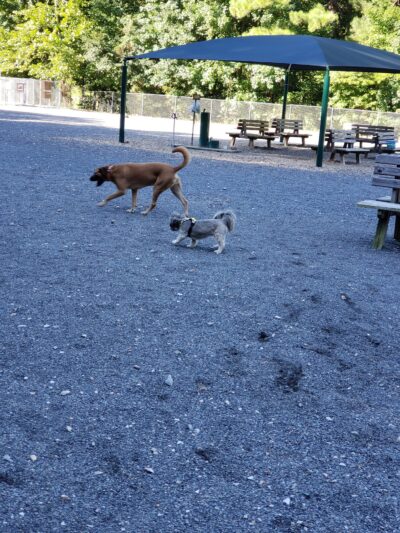 Desoto Dog Park - Hot Springs, AR