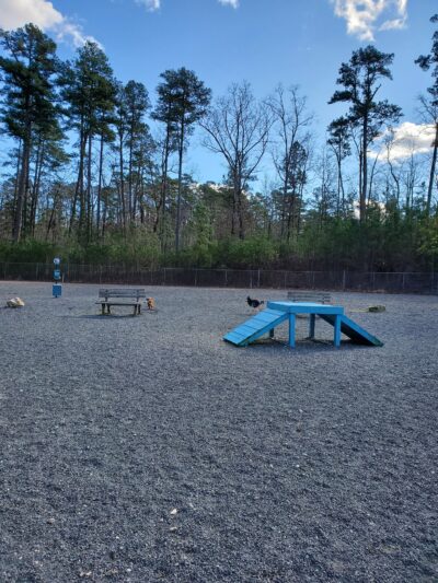 Desoto Dog Park - Hot Springs, AR