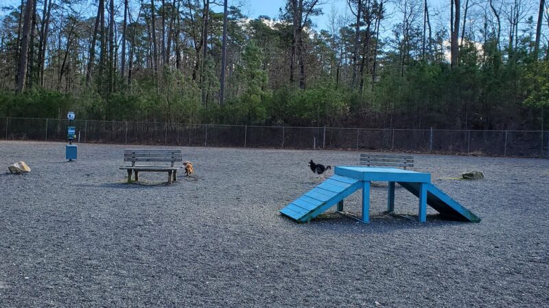 Desoto Dog Park - Hot Springs, AR