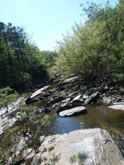 Desoto Dog Park - Hot Springs, AR