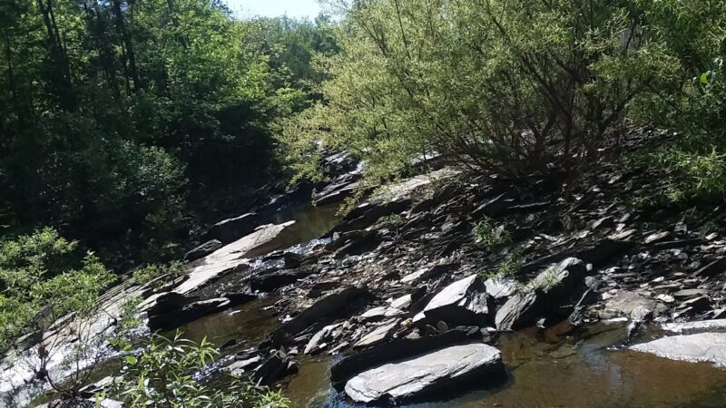 Desoto Dog Park - Hot Springs, AR