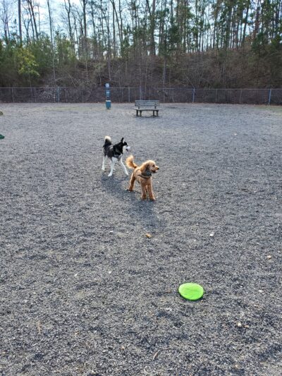 Desoto Dog Park - Hot Springs, AR