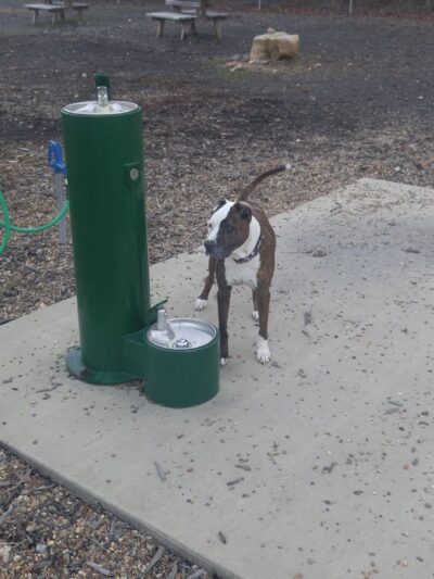 Desoto Dog Park Hot Springs Village - Hot Springs, AR