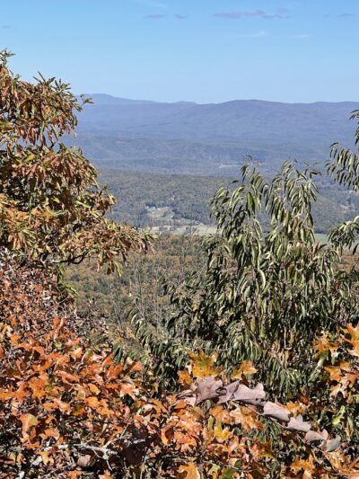 Flag Rock Trail - Hot Springs, VA