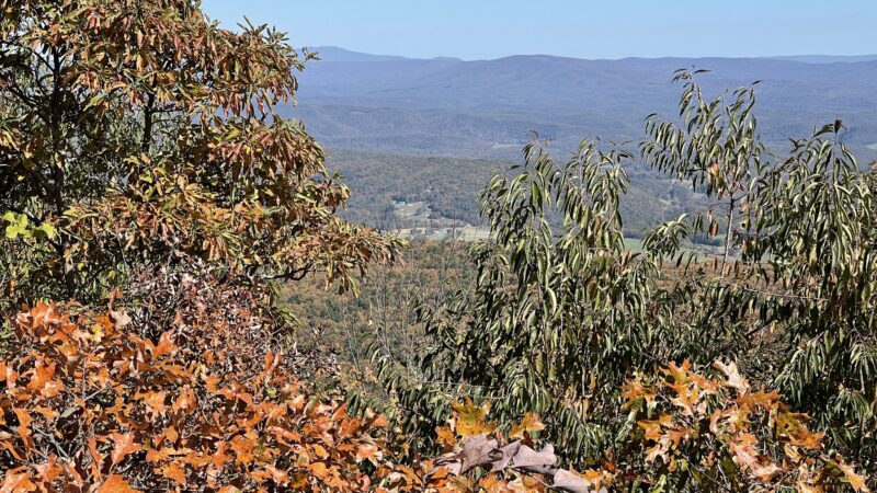Flag Rock Trail - Hot Springs, VA