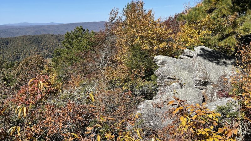 Flag Rock Trail - Hot Springs, VA