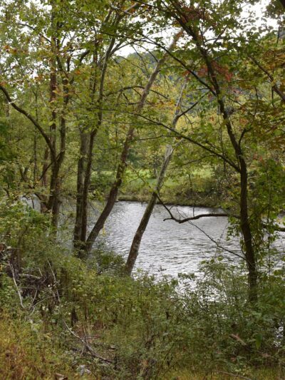 Jackson River Scenic Trail - Natural Well Trailhead - Hot Springs, VA