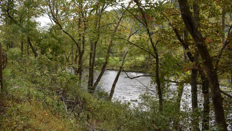 Jackson River Scenic Trail - Natural Well Trailhead - Hot Springs, VA