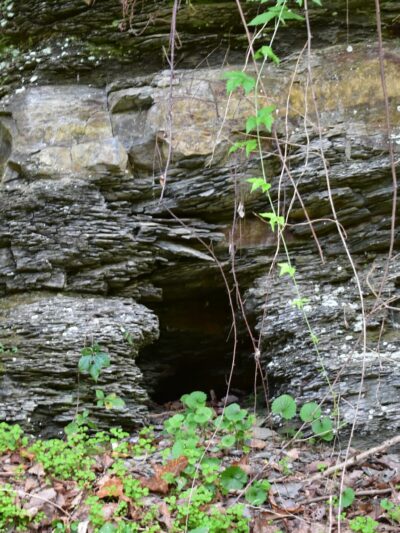 Jackson River Scenic Trail - Natural Well Trailhead - Hot Springs, VA