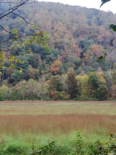 Jackson River Scenic Trail - Natural Well Trailhead - Hot Springs, VA