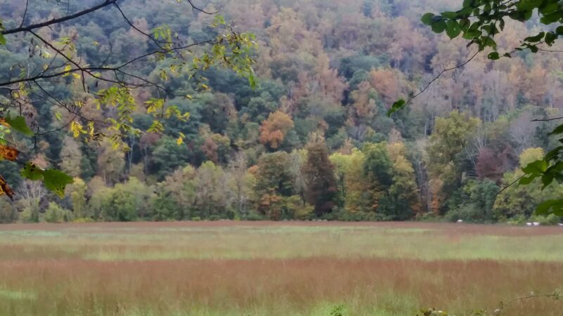 Jackson River Scenic Trail - Natural Well Trailhead - Hot Springs, VA
