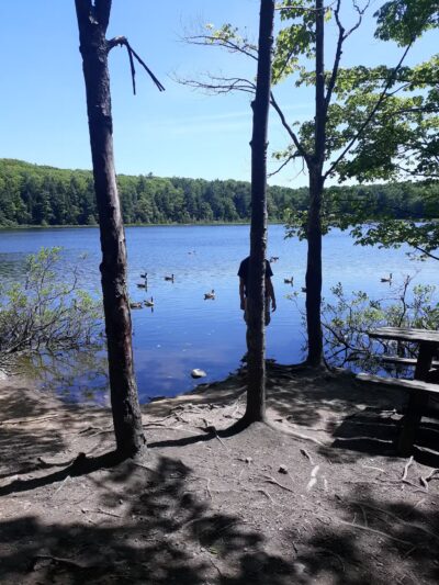 Moss Lake Preserve - Houghton, NY