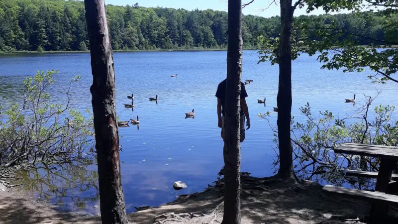 Moss Lake Preserve - Houghton, NY
