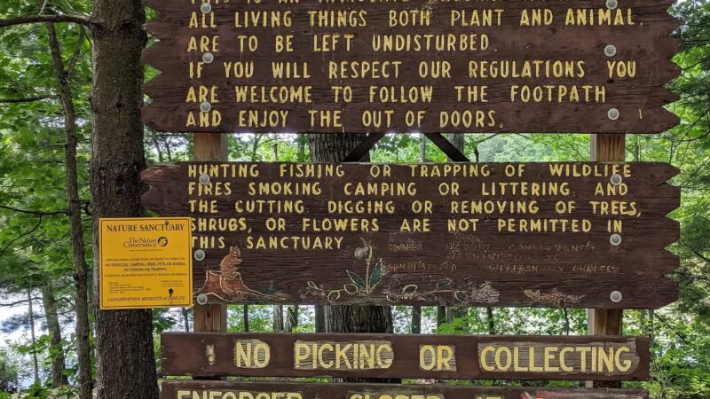Moss Lake Preserve - Houghton, NY