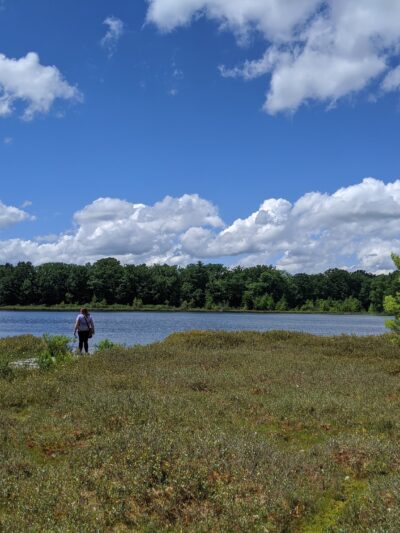 Moss Lake Preserve - Houghton, NY