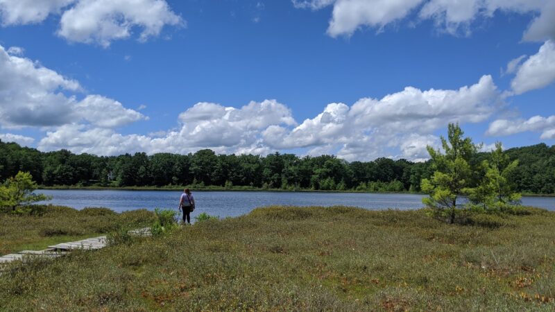 Moss Lake Preserve - Houghton, NY