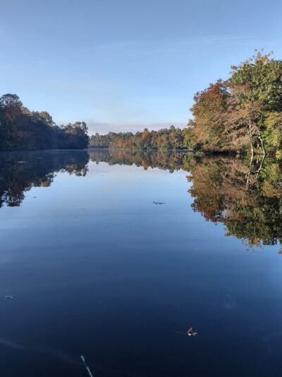 Blairs Pond Public Park - Houston, DE
