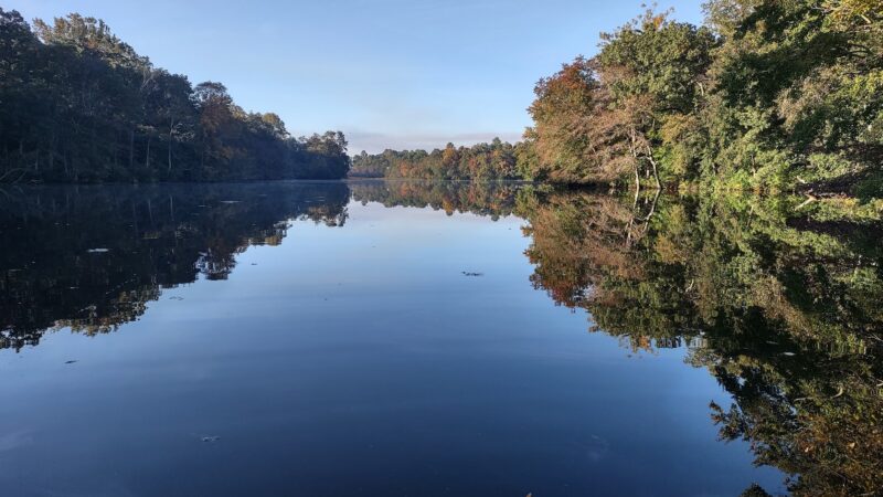 Blairs Pond Public Park - Houston, DE