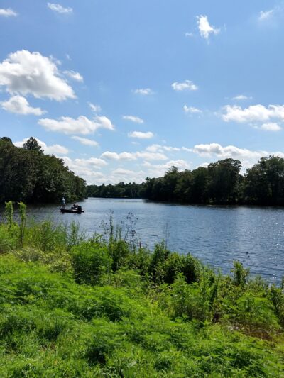 Blairs Pond Public Park - Houston, DE