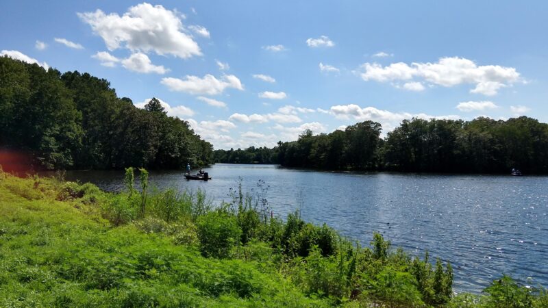 Blairs Pond Public Park - Houston, DE