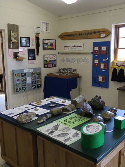 Houston Nature Center - Houston, MN