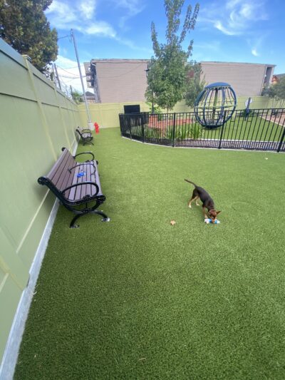 Avondale Promenade Park - Houston, TX