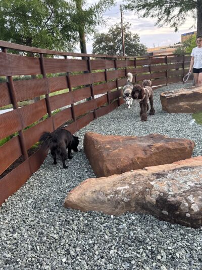 Camden Dog Park Westchase - Houston, TX