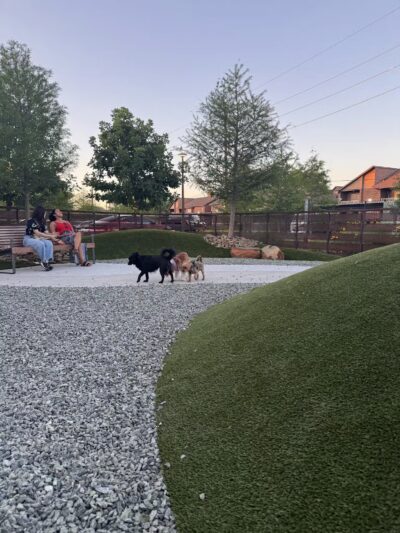 Camden Dog Park Westchase - Houston, TX